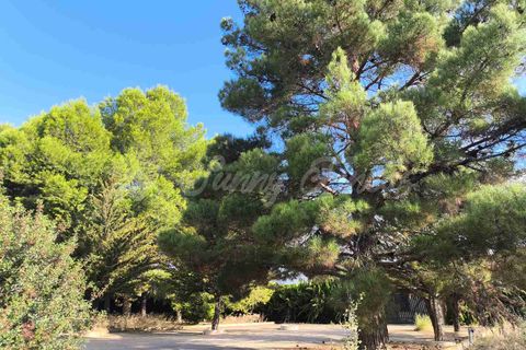 Villa i Yecla, Murcia, Yecla - € 299.000 | Ref: SF0543 - foto 38